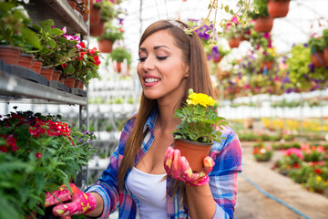 Happy smiling woman florist with beautiful face holding yellow potted flowers in greenhouse garden. Arranging plants for sale and taking care.