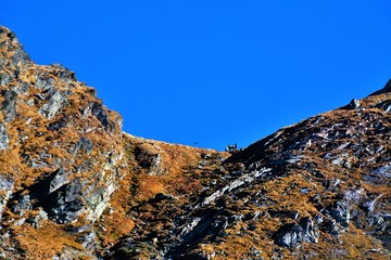 landscape in Fagaras mountains