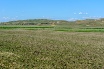 Beautiful spring landscape: trees, forest, mountains, hills, fields, meadows and blue sky.