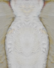 Old Paper texture. laminated paper on canvas. oil paint.