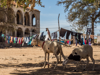 Naklejka premium Senegal, island of Goree