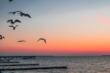 sunset on the sea