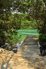 A dock leading to green water