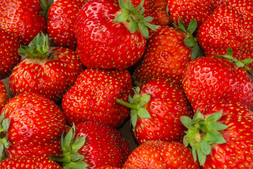A lot of Red ripe garden strawberry closeup