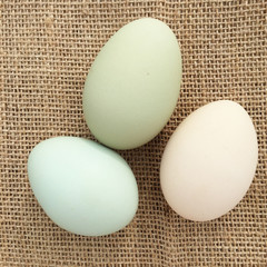 eggs on a black background