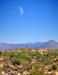 Sonora Desert Moon