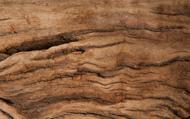 Brown wood texture background. Wood abstract background texture with cracks and scratches.