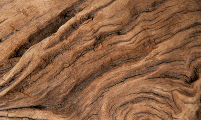 Brown wood texture background. Wood abstract background texture with cracks and scratches.