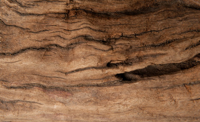 Brown wood texture background. Wood abstract background texture with cracks and scratches.