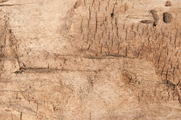 Brown wood texture background. Timber abstract background texture with cracks and scratches.