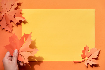Autumn leaves with shadows, flat lay with copy-space on paper background