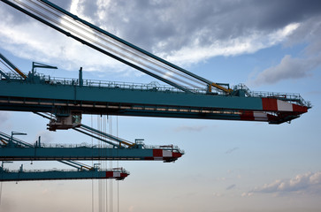 Gantry cranes in sea port during cargo operations, Norfolk - Virginia. 