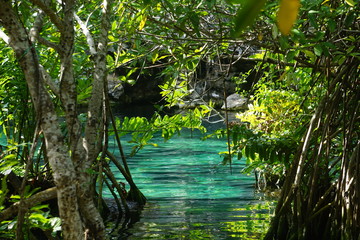 Playa del Carmen - Mexique - Mexico - Yucatan - Quintana Roo - Cenote Azul