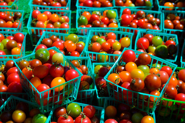 Many different-colored tomatoes sit in green baskets at a California farmer's market.