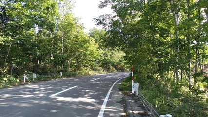 緑 山 道 自然 空 道路