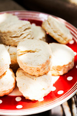 Fresh delicious scones on plate