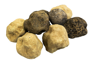 Group of black and white truffles isolated on background