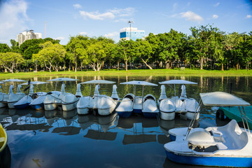Fototapeta na wymiar Spinning duck boat in city public park