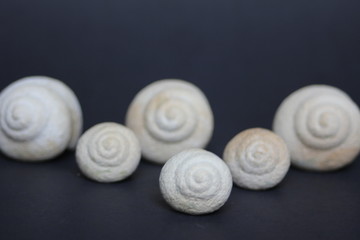 White Shells on Black Floor