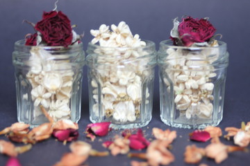 Dry Flowers in the Bottles