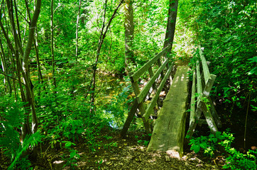 Fototapeta na wymiar Rustic Hiking Bridge with Hand Rails Over Creek in the Woods at Kejimkujik National Park Nova Scotia Canada