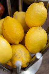 Group of lemon in metal basket