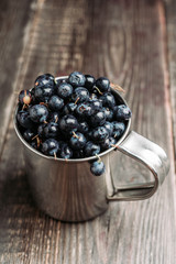 Freshly harvested blueberries in metal cup. Selective focus. Shallow depth of field.