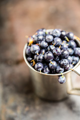 Freshly harvested blueberries in metal cup. Selective focus. Shallow depth of field.