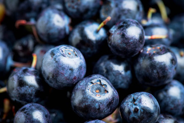 Freshly harvested blueberries in metal cup. Selective focus. Shallow depth of field.