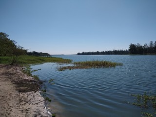 lake in forest