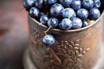 Freshly harvested blueberries in metal cup. Selective focus. Shallow depth of field.