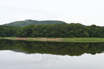 lake at aomori in mif summer