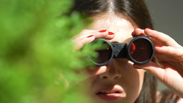Female detective looking through binocular hiding tree, searching exclusive