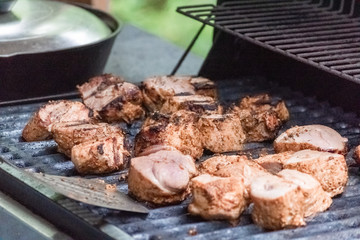 Yummy meat on the grill in the garden with spicy  taste