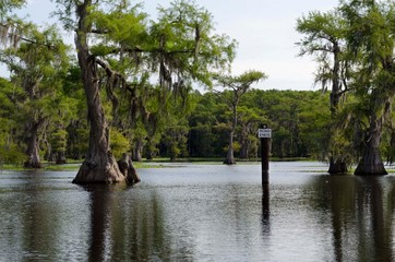 Sign and Trees in the Lake