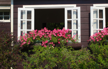 Fototapeta na wymiar Windows with colorful flower