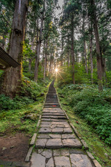 Obraz premium Sunset, Stone path and Sugi trees or Japanese Cedar (Cryptomeria japonica) forest at Mount Haguro, One of the three sacred mountains of Dewa Province (Dewa Sanzan). Located in Yamagata Prefecture