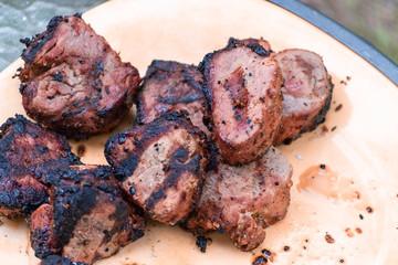 Yummy meat on the grill in the garden