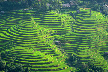Prachtige rijstterrasvelden in de stad Sa Pa, de meest populaire reisbestemmingen van Noord-Vietnam