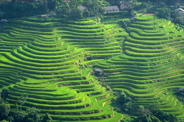 Photo sur Plexiglas Mu Cang Chai Belles rizières en terrasse dans la ville de Sa Pa, les destinations de voyage les plus populaires du nord du Vietnam
