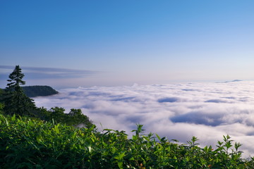 雲海