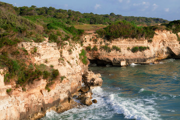 Panorama con boschi e mare