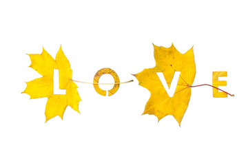 Autumn. Letters carved from wedge leaves