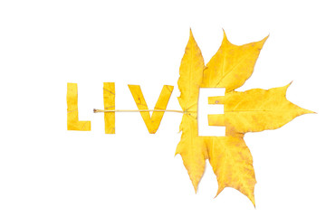 Live. Letters carved from wedge leaves