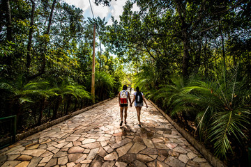 Fototapeta na wymiar A beautiful view of Brasilia National Park in the city
