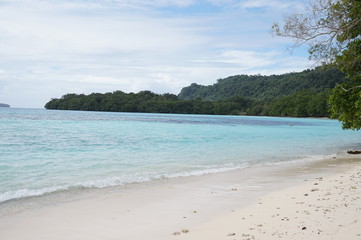 Fototapeta na wymiar Champagne Beach in Vanuatu,Espiritu Santo Island