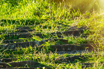 Old steps in the green park.