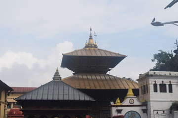 pashupatinath temple kathmandu nepal