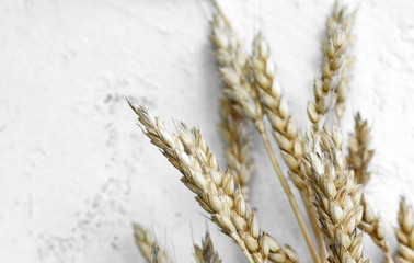 Bunch of golden wheats. Wheat ears . Bouquet of dried wheat. Agriculture concept, food background.