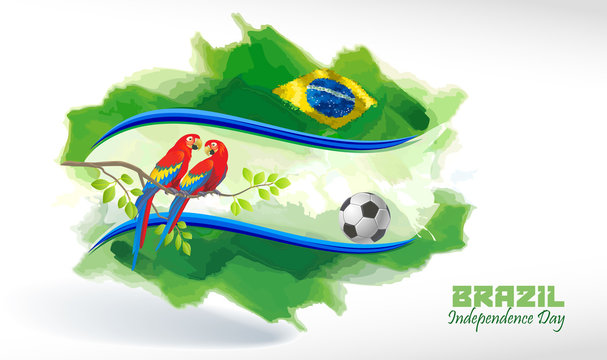 The Brazilian flag background with a football and a couple of macaw parrots 